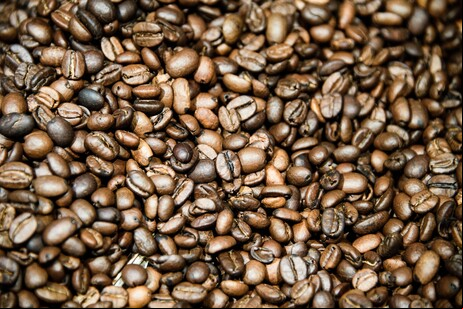 Illy vai selecionar melhor café do Brasil e de cada região produtora