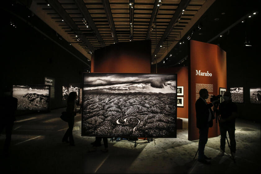 Sebastião Salgado morreu aos 81 anos
