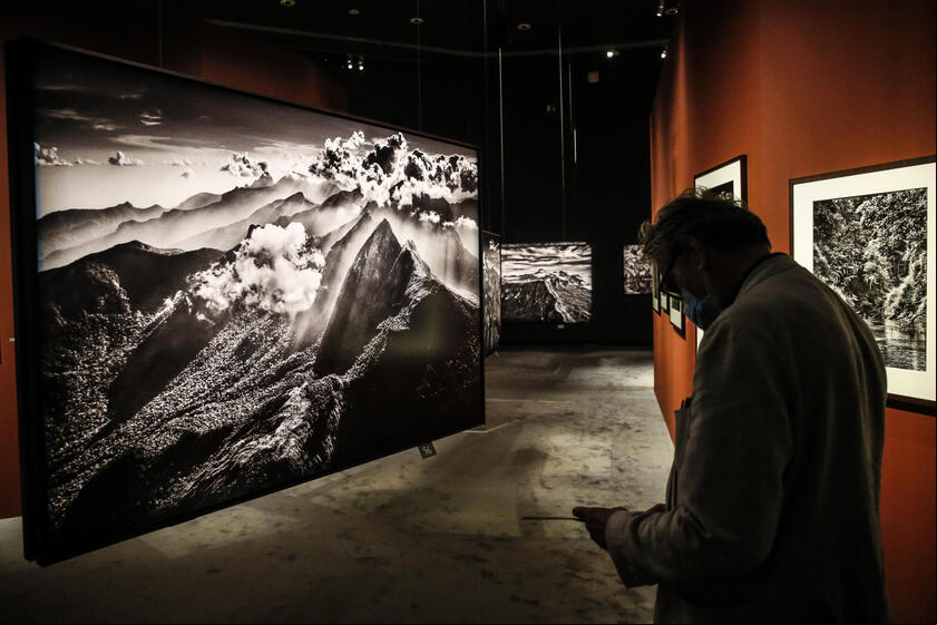 Sebastião Salgado morreu aos 81 anos