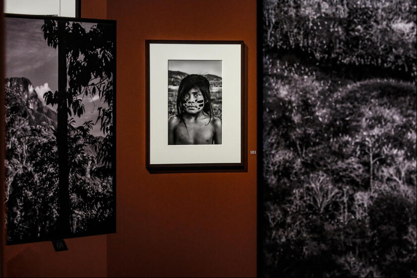Sebastião Salgado morreu aos 81 anos