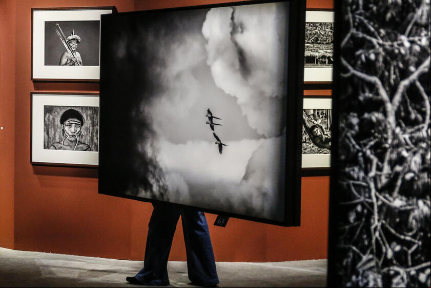 Sebastião Salgado morreu aos 81 anos
