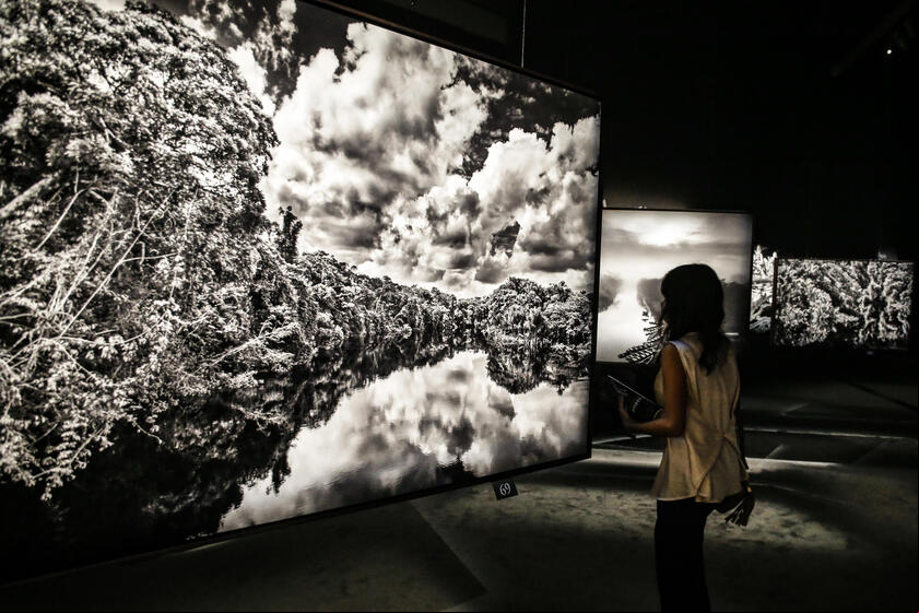 Sebastião Salgado morreu aos 81 anos