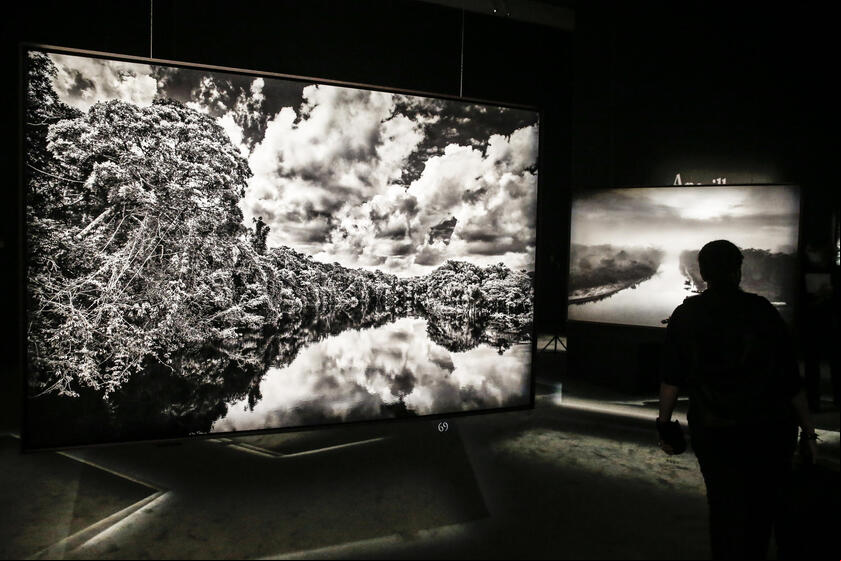 Sebastião Salgado morreu aos 81 anos