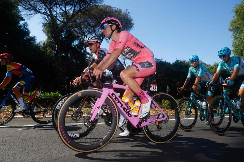 LUCA BETTINI