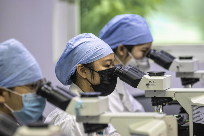 Cientistas chineses da Universidade de Wuhan © ANSA/EPA