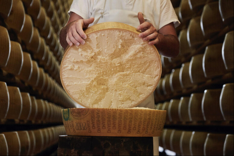 Parmigiano Reggiano é um ícone do Made in Italy - TODOS OS DIREITOS RESERVADOS
